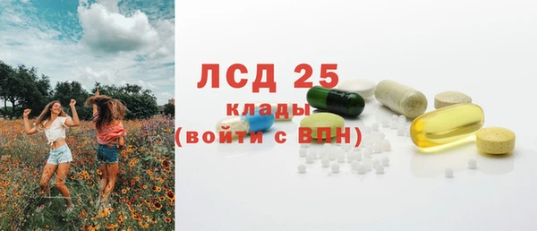 стафф Алзамай