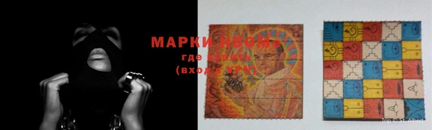 стафф Алзамай