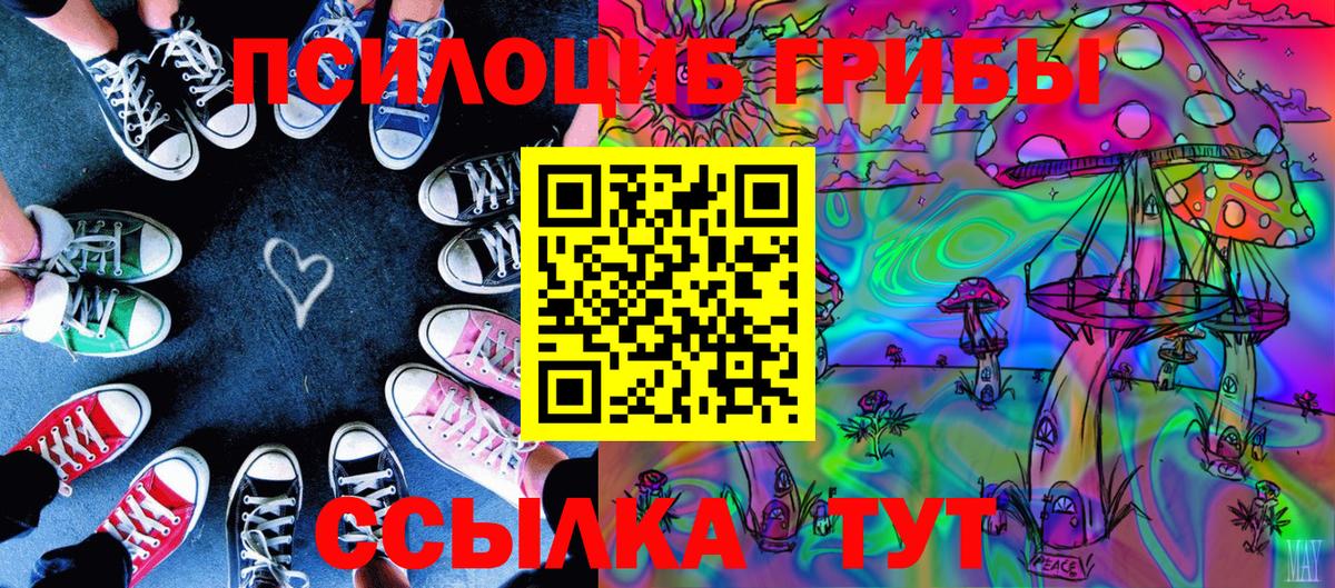 Калач-на-Дону  Псилоцибиновые грибы Psilocybine cubensis  Вход с VPN 